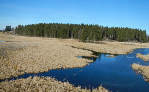 44_Barstytaliu pelke is boksto. D. Abrutes n.jpg